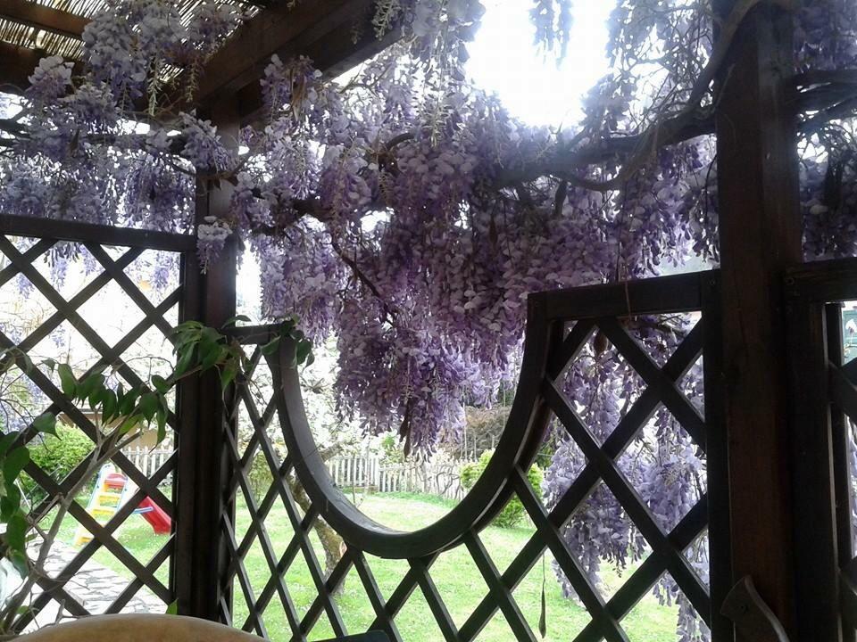Il Ghiro B&B Riccò del Golfo di Spezia Eksteriør bilde