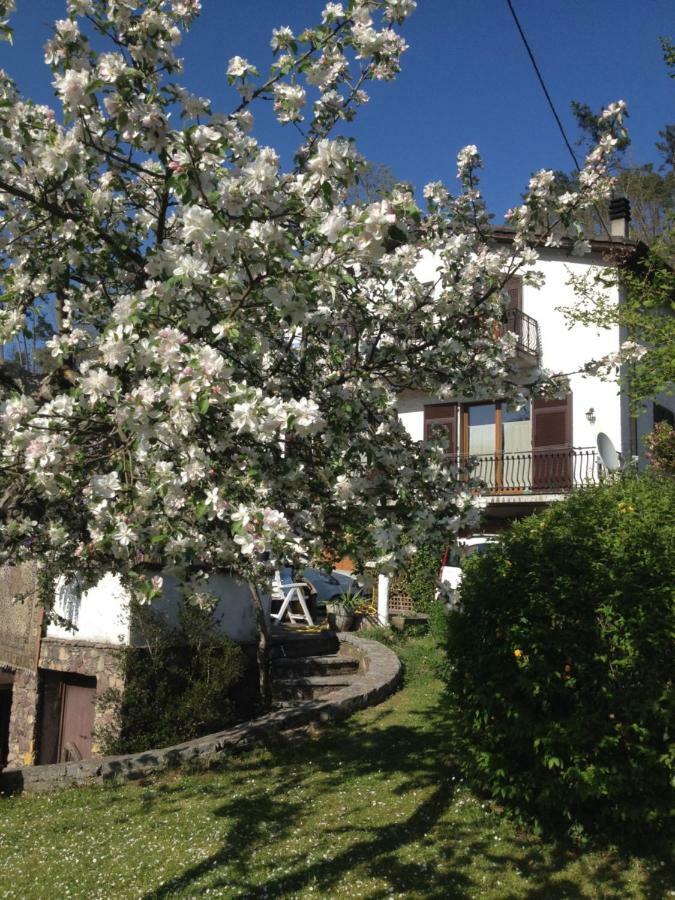 Il Ghiro B&B Riccò del Golfo di Spezia Eksteriør bilde