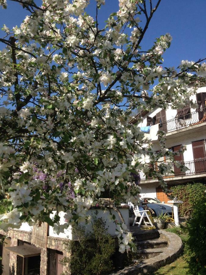 Il Ghiro B&B Riccò del Golfo di Spezia Eksteriør bilde
