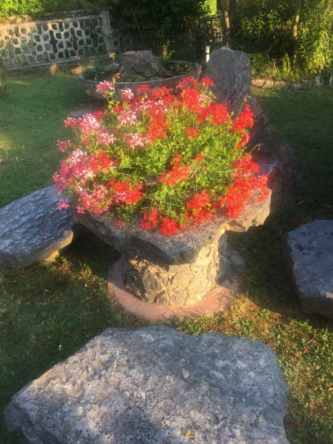 Il Ghiro B&B Riccò del Golfo di Spezia Eksteriør bilde